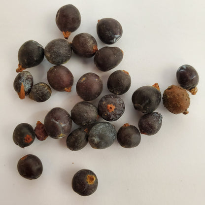 Juniper pacific wild pick