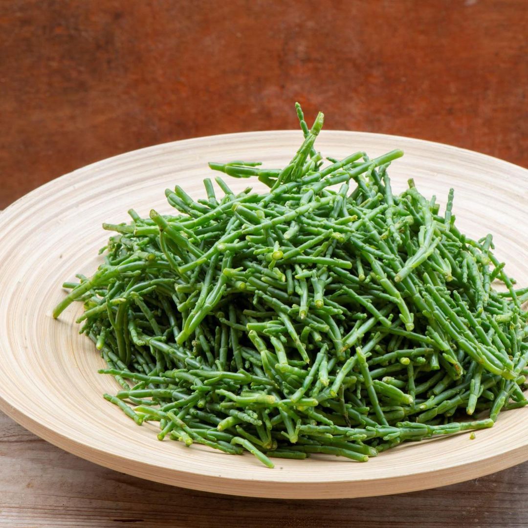 Wild Sea Asparagus