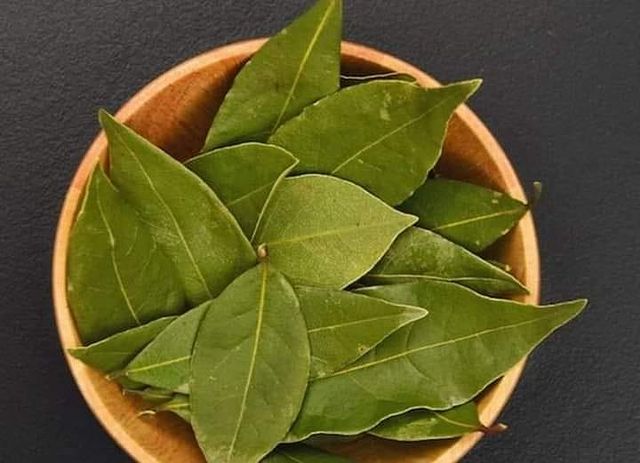 Bay Leaf- Wild Hand Picked - Pacific Wild Pick