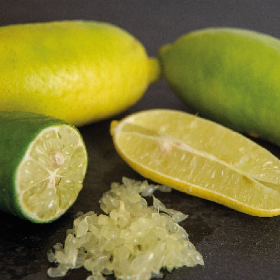 California Green Finger Limes - Pacific Wild Pick – Wild Food Express