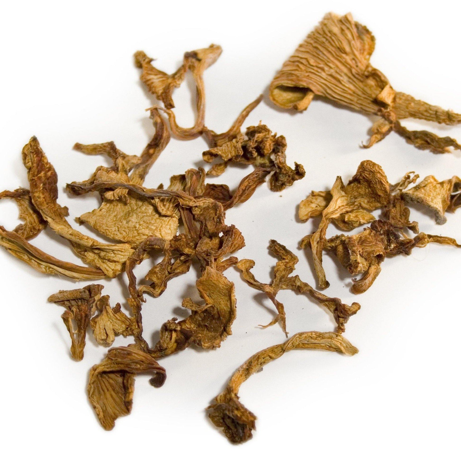 Chanterelle Mushrooms - Dry.