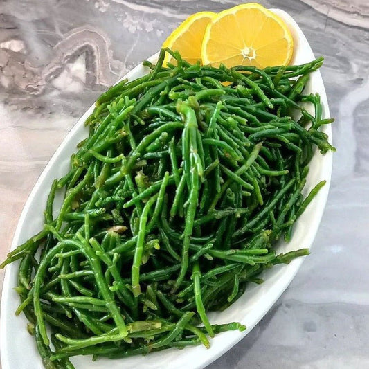 Sea Beans or Sea Asparagus - Pacific Wild Pick