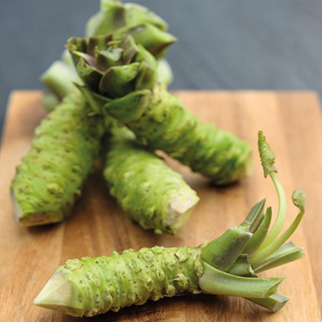 Real Fresh Wasabi Root.